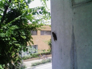 080731.jpg